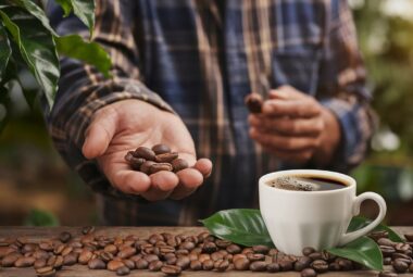 sustainable coffee sourcing